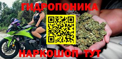 гашик Бузулук